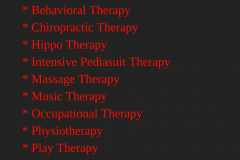 Various Program for Cerebral Palsy